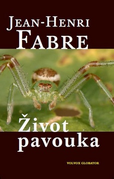 Život pavouka