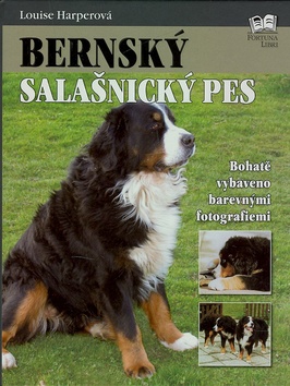 Bernský salašnický pes