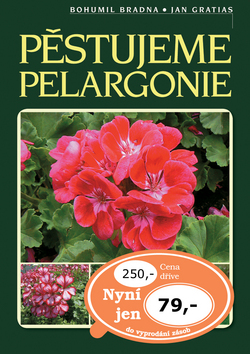 Pěstujeme pelargonie