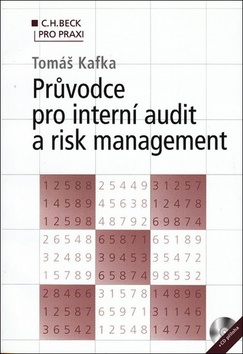 Průvodce pro interní audit a risk management + CD