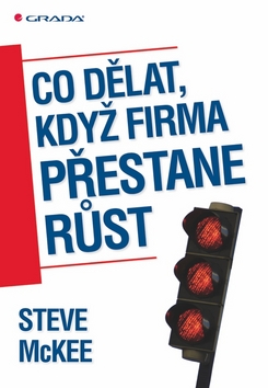 Co dělat, když firma přestane růst