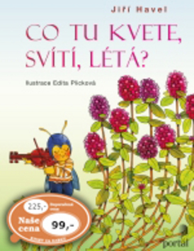 Co tu kvete, svítí, létá?