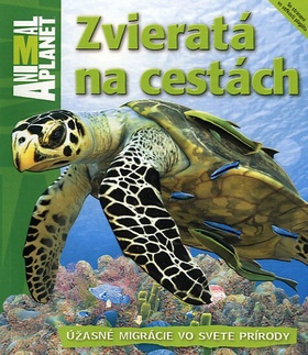 Zvieratá na cestách