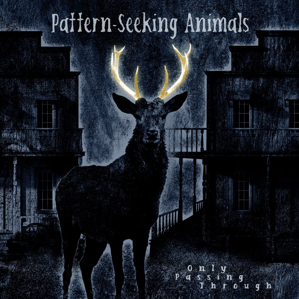 Pattern-Seeking Animals: Only Passing Through (HQ) LP