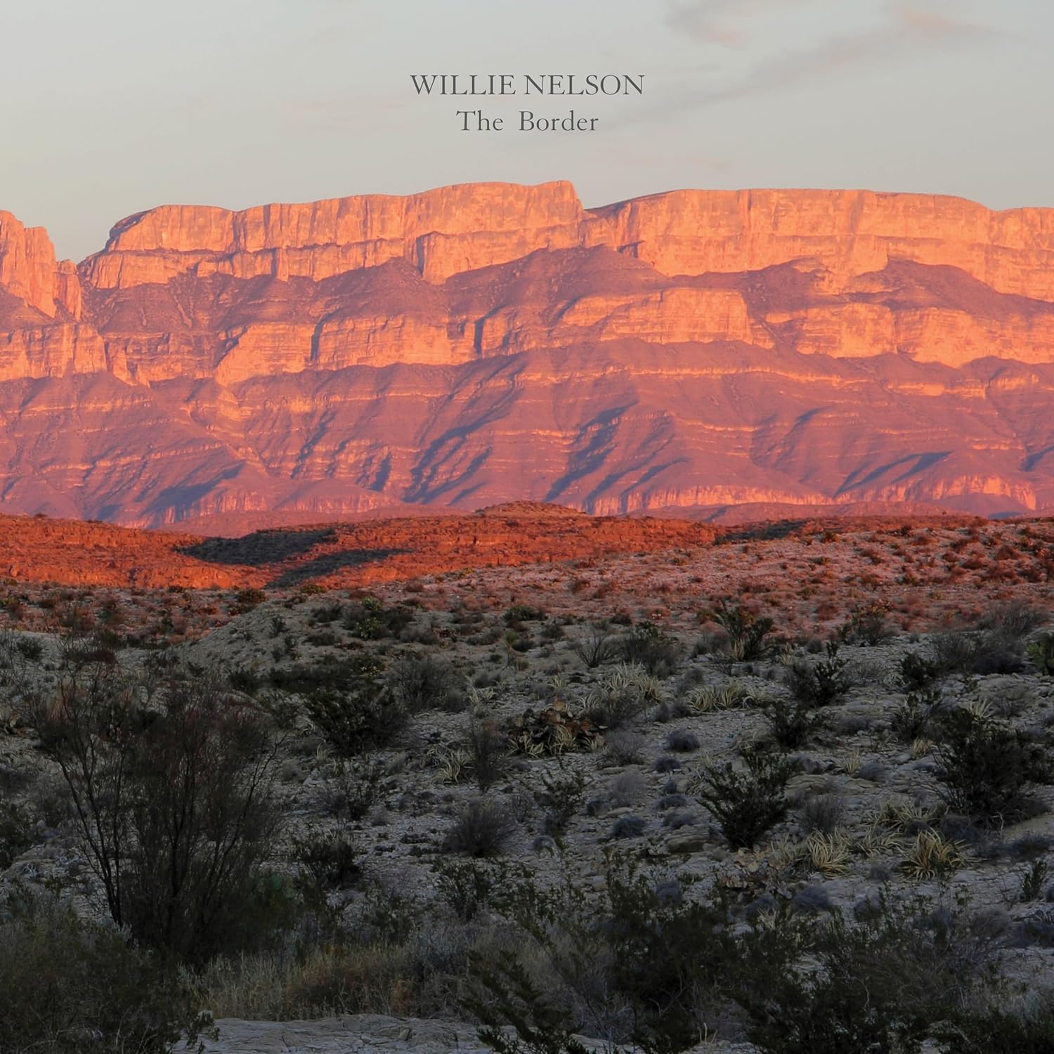 Willie Nelson: The Border LP