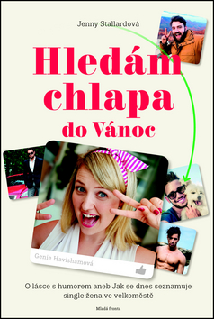 Hledám chlapa do Vánoc