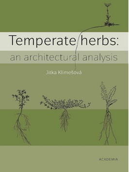 Temperate herbs