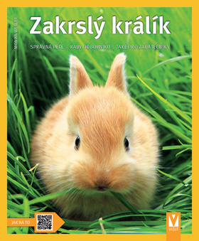 Zakrslý králík