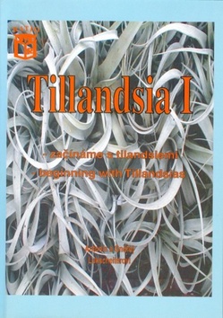 Tillandsia I