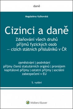 Cizinci a daně