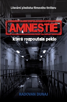 Amnestie