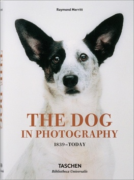 The Dog in Photography