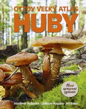 Ottov veľký atlas Huby