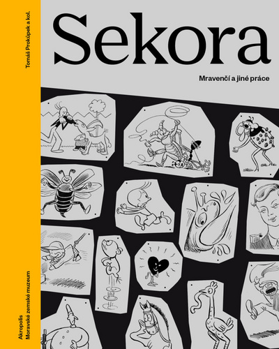 Sekora