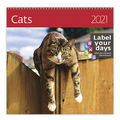 Cats - nástěnný LP kalendář 2021