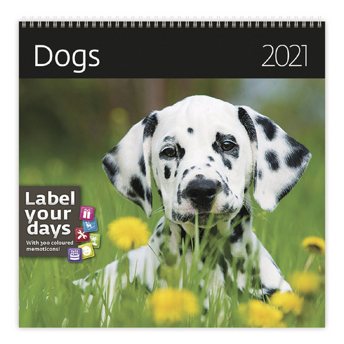 Dogs - nástěnný LP kalendář 2021