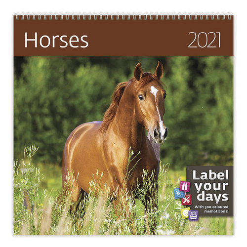 Horses - nástěnný LP kalendář 2021