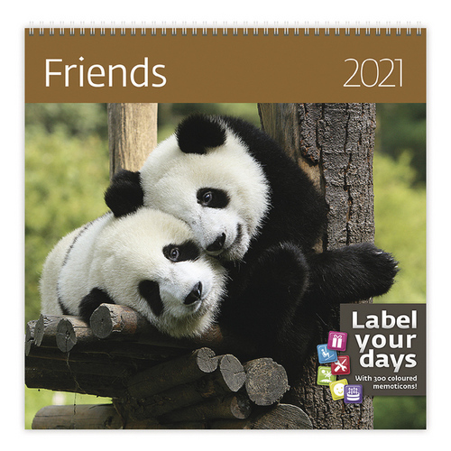 Friends - nástěnný LP kalendář 2021