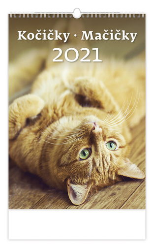 Kočičky/Mačičky - nástěnný kalendář 2021