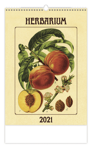 Herbarium - nástěnný kalendář 2021