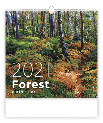 Forest/Wald/Les - nástěnný kalendář 2021