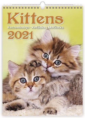 Kittens/Katzenbabys/Koťátka/Mačičky - nástěnný kalendář 2021
