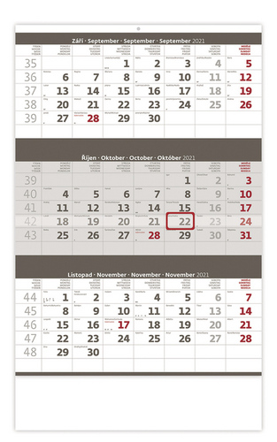 Tříměsíční šedý - nástěnný kalendář 2021