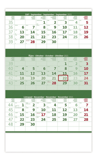 Tříměsíční zelený - nástěnný kalendář 2021