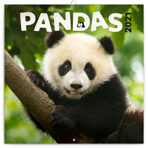 Poznámkový kalendář Pandy 2021
