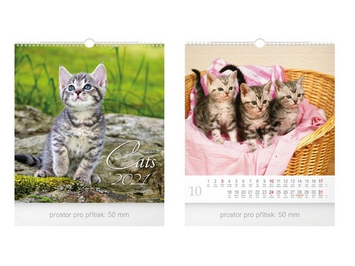 Malý Cats - nástěnný kalendář 2021