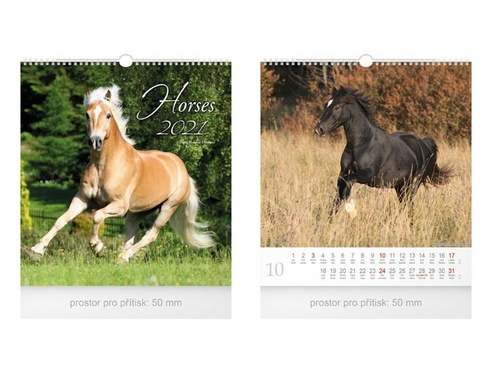 Malý Horses - nástěnný kalendář 2021
