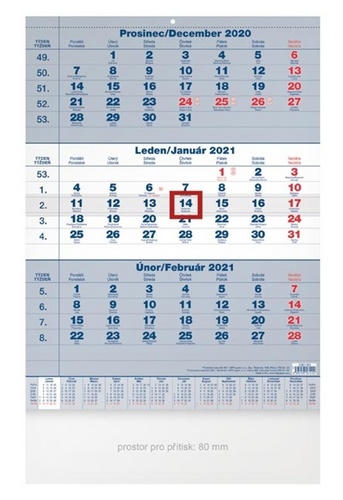 Tříměsíční - nástěnný kalendář 2021