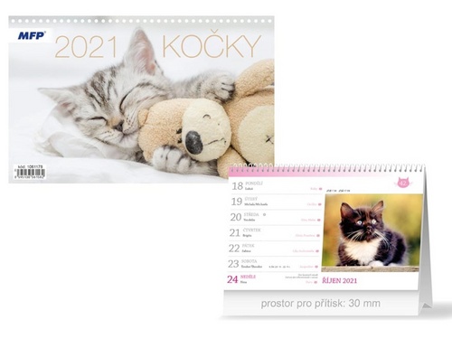 Kočky - stolní kalendář 2021