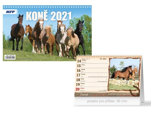 Koně - stolní kalendář 2021
