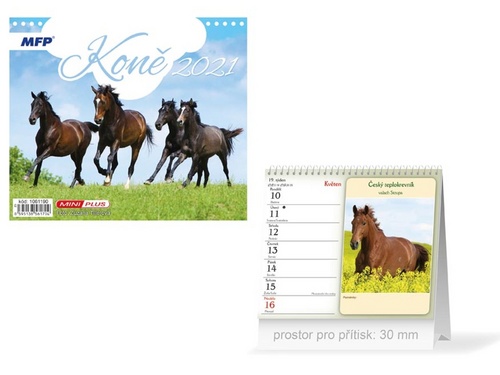 Mini Koně - stolní kalendář 2021