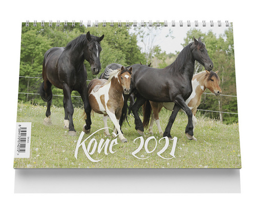 Stolní kalendář - Koně 2021