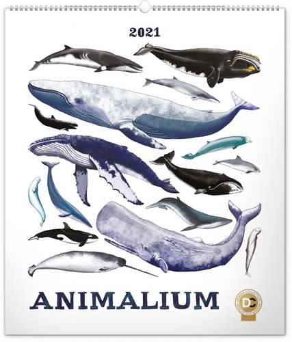 Nástěnný kalendář Animalium Lucie Jenčíková 2021