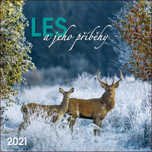 Les a jeho příběhy 2021 - nástěnný kalendář