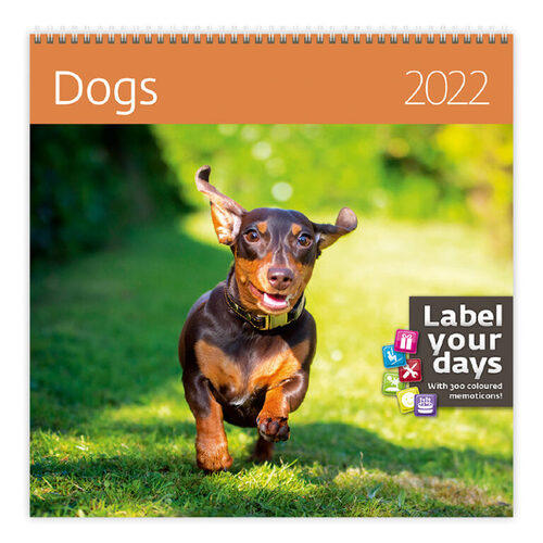Dogs 2022 - nástěnný kalendář
