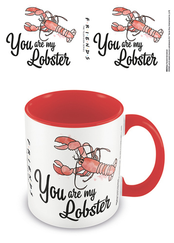 Hrnek Přátelé You are my lobster