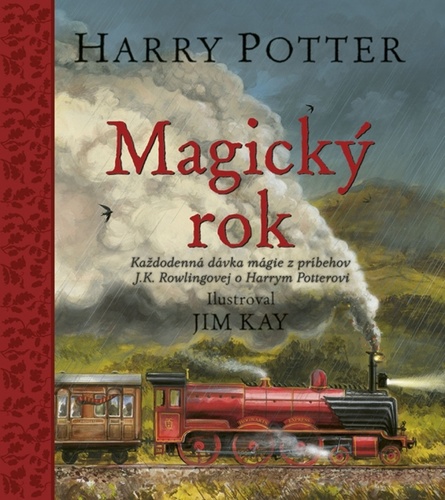 Harry Potter Magický rok