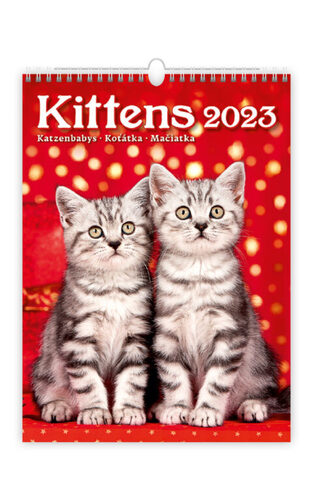 Kittens/Katzenbabys/Koťátka/Mačičky 2023 - nástěnný kalendář