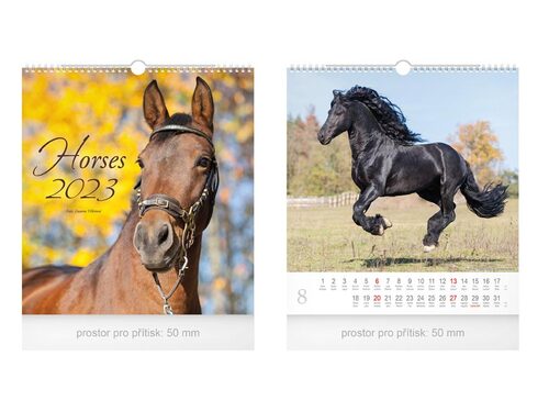 Malý Horses 2023 - nástěnný kalendář