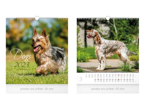 Malý Dogs 2023 - nástěnný kalendář