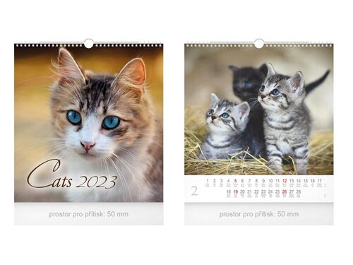 Malý Cats 2023 - nástěnný kalendář