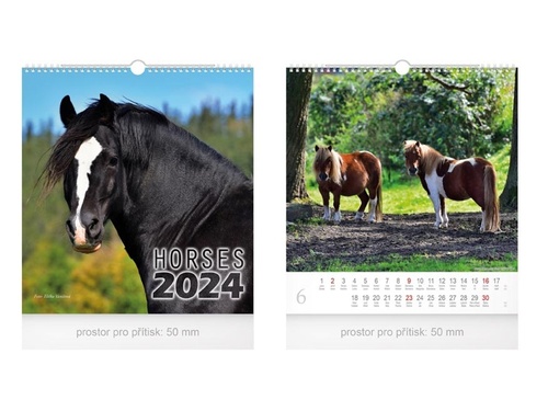 Malý Horses 2024 - nástěnný kalendář