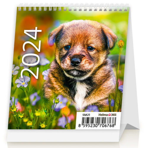 Mini Puppies - stolní kalendář 2024