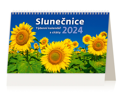 Slunečnice - stolní kalendář 2024