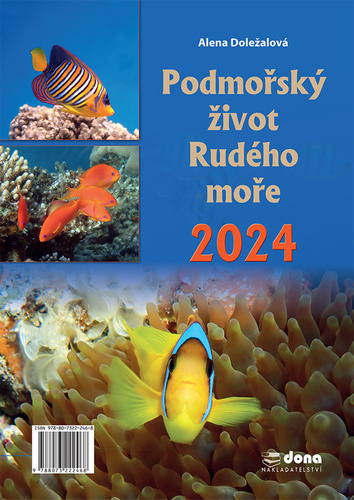 Podmořský život Rudého moře 2024