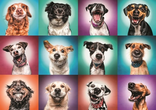 Puzzle Legrační portréty psů II, 2000 dílků